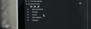 Saving-Lumetri-Presets-in-Premiere-Step-3.gif