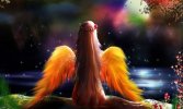 cute angel wide hd wallpaper.jpg