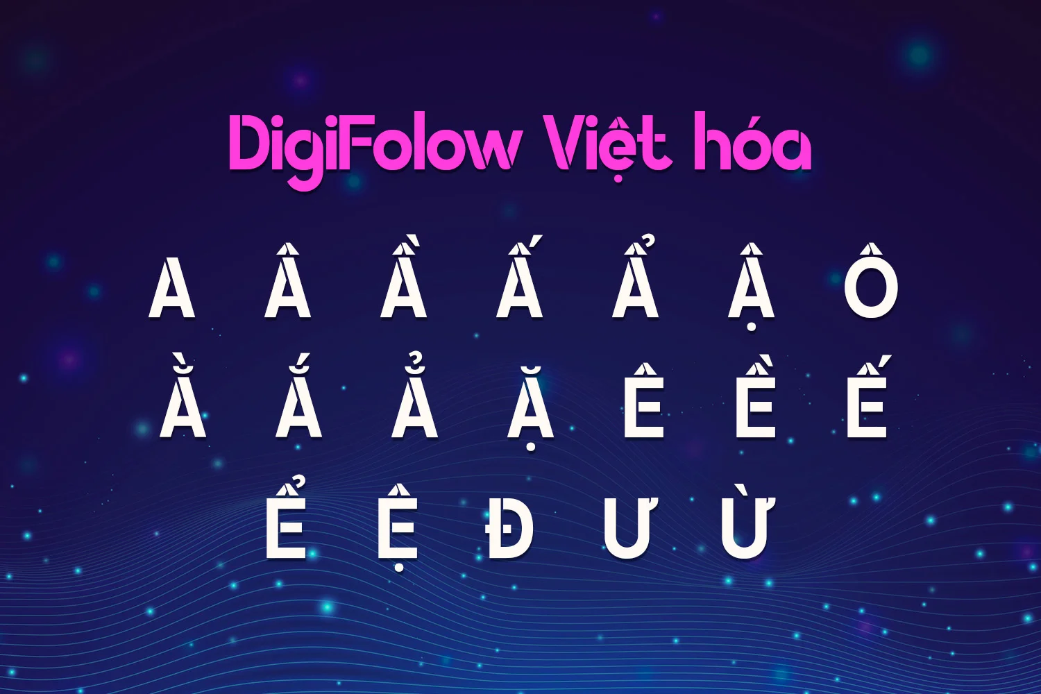 bo-dau-digifolow.webp