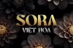 sora-vh.webp