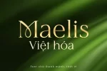 sang-font.webp