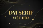 DM-SERIF.webp