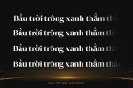 dm-serif-text.webp