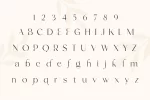 frunchy-sage-1.webp