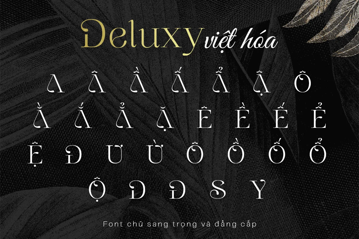 deluxy.webp deluxy.webp