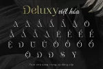 deluxy.webp