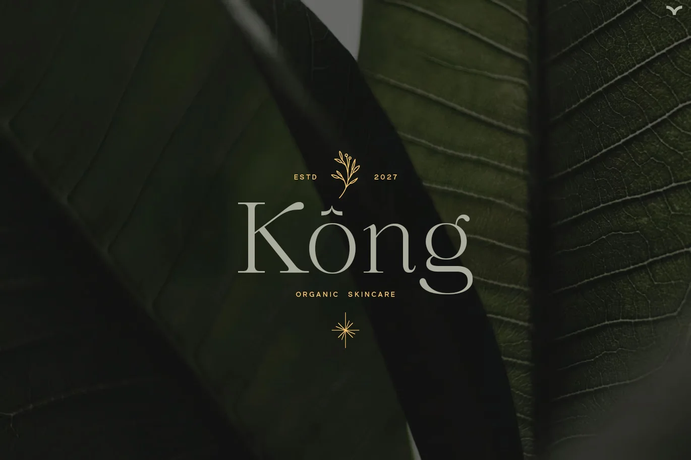 kong-oganic.webp kong-oganic.webp