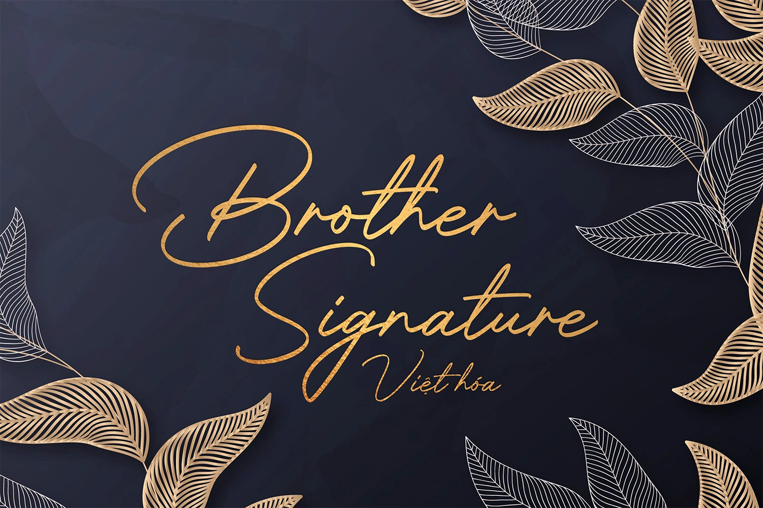 font-brother.webp font-brother.webp