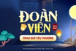 dvn-kim-bao-1.webp