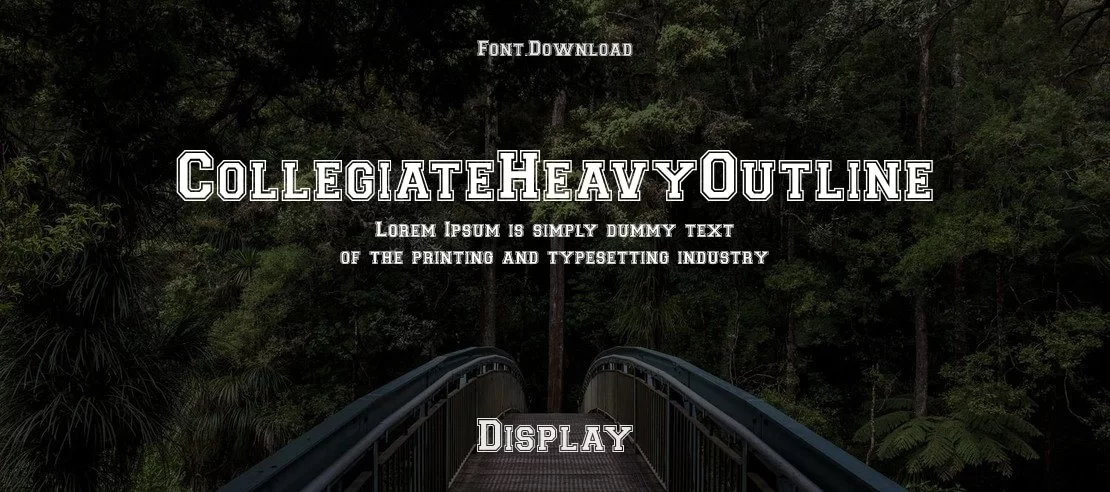 collegiateheavyoutline-1110x492-179d169af4.webp collegiateheavyoutline-1110x492-179d169af4.webp