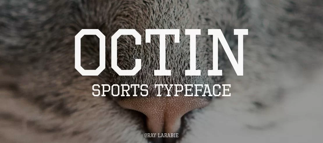 octin-sports-1110x492-389f9d3e39.webp octin-sports-1110x492-389f9d3e39.webp