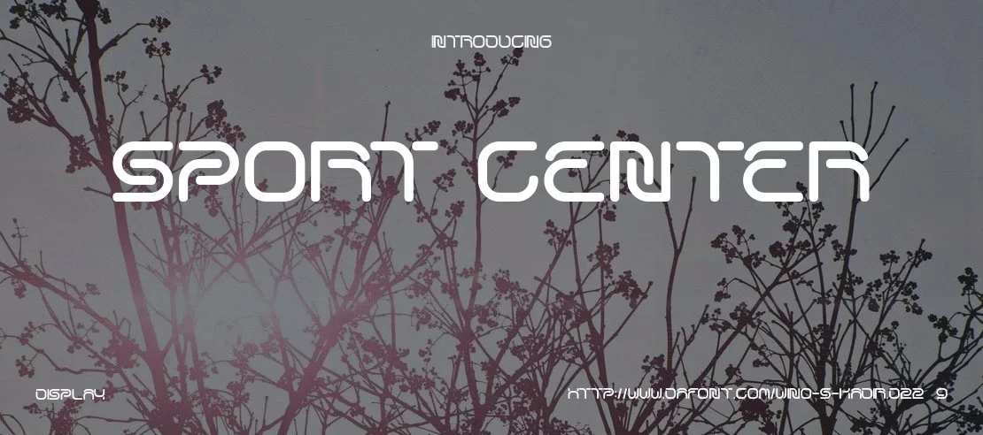 sport-center-1110x492-59a483f0d3.webp sport-center-1110x492-59a483f0d3.webp