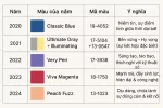 table.webp