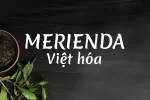 merri.webp