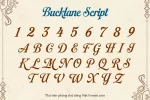 bang-chu-bucl.webp