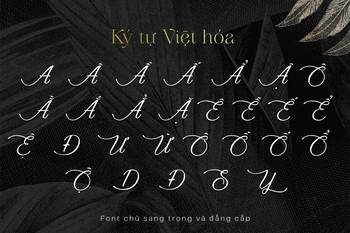 kytu.webp
