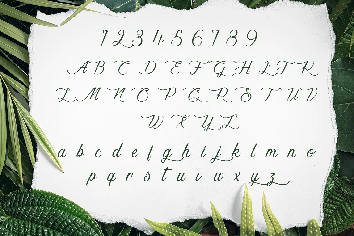 ky-tu-full.webp