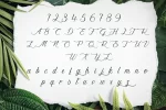 ky-tu-full.webp