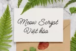 meowscript.webp