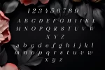 chu.webp