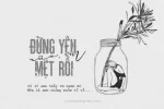 MTD Hello Paris Script - Lix.webp