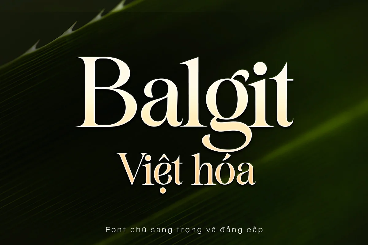 balgit.webp balgit.webp