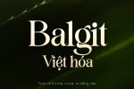 balgit.webp