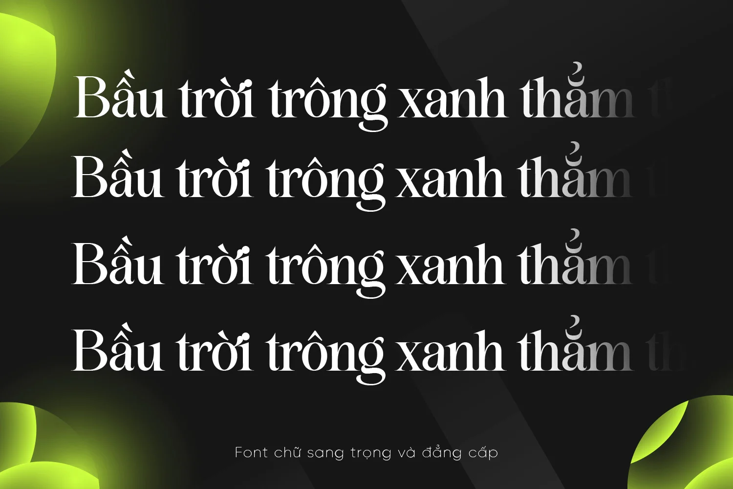 balgit-text.webp balgit-text.webp