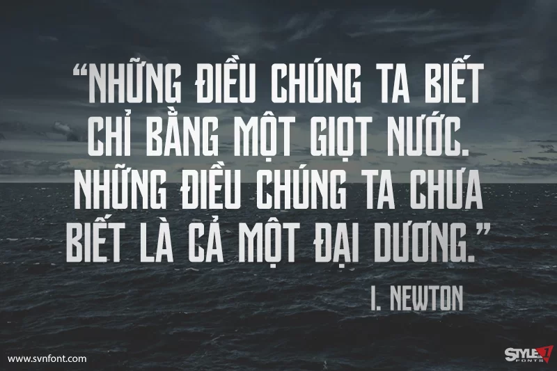 1753176673633.webp