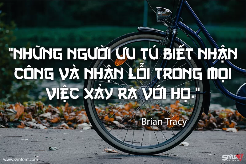 1753177394374.webp