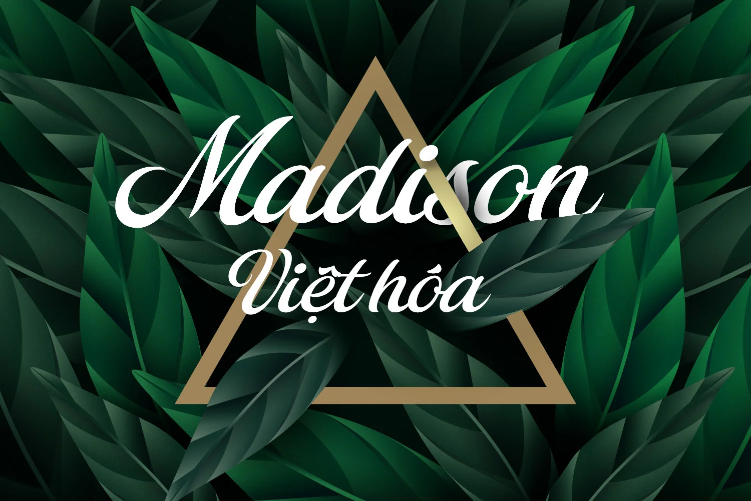 madison-vh.webp madison-vh.webp