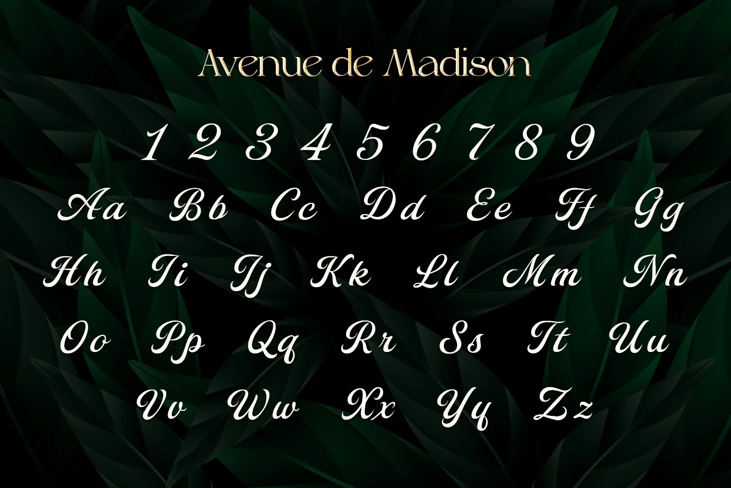 text-madison.webp text-madison.webp