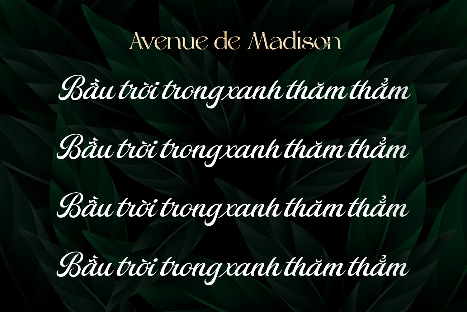 text-madison-bautroi.webp text-madison-bautroi.webp