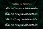 text-madison-bautroi.webp