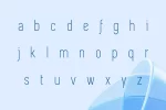 t2.webp