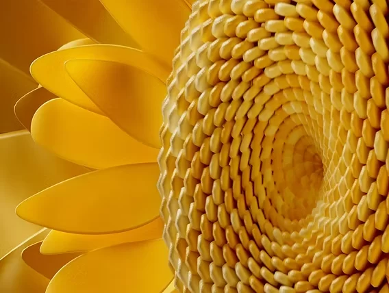1755517885836.webp