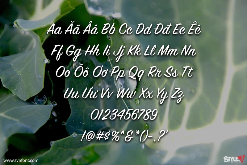 1755579018114.webp 1755579018114.webp