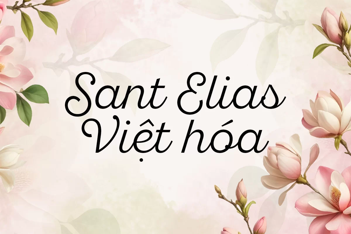 sant.webp sant.webp