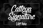 catteya.webp