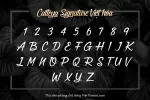 catteya-chu.webp