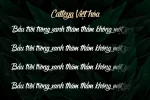 cate.webp