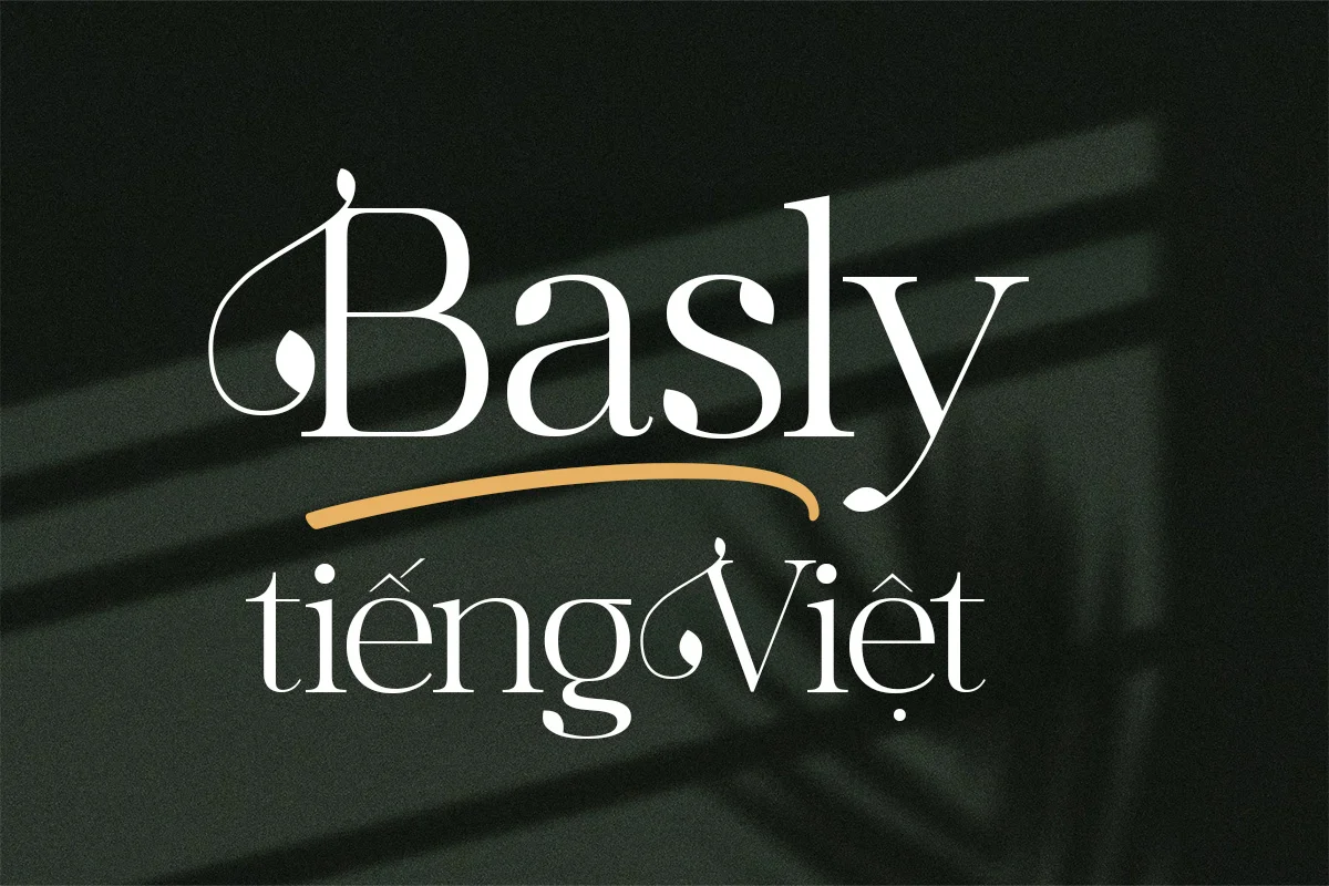 basly.webp basly.webp