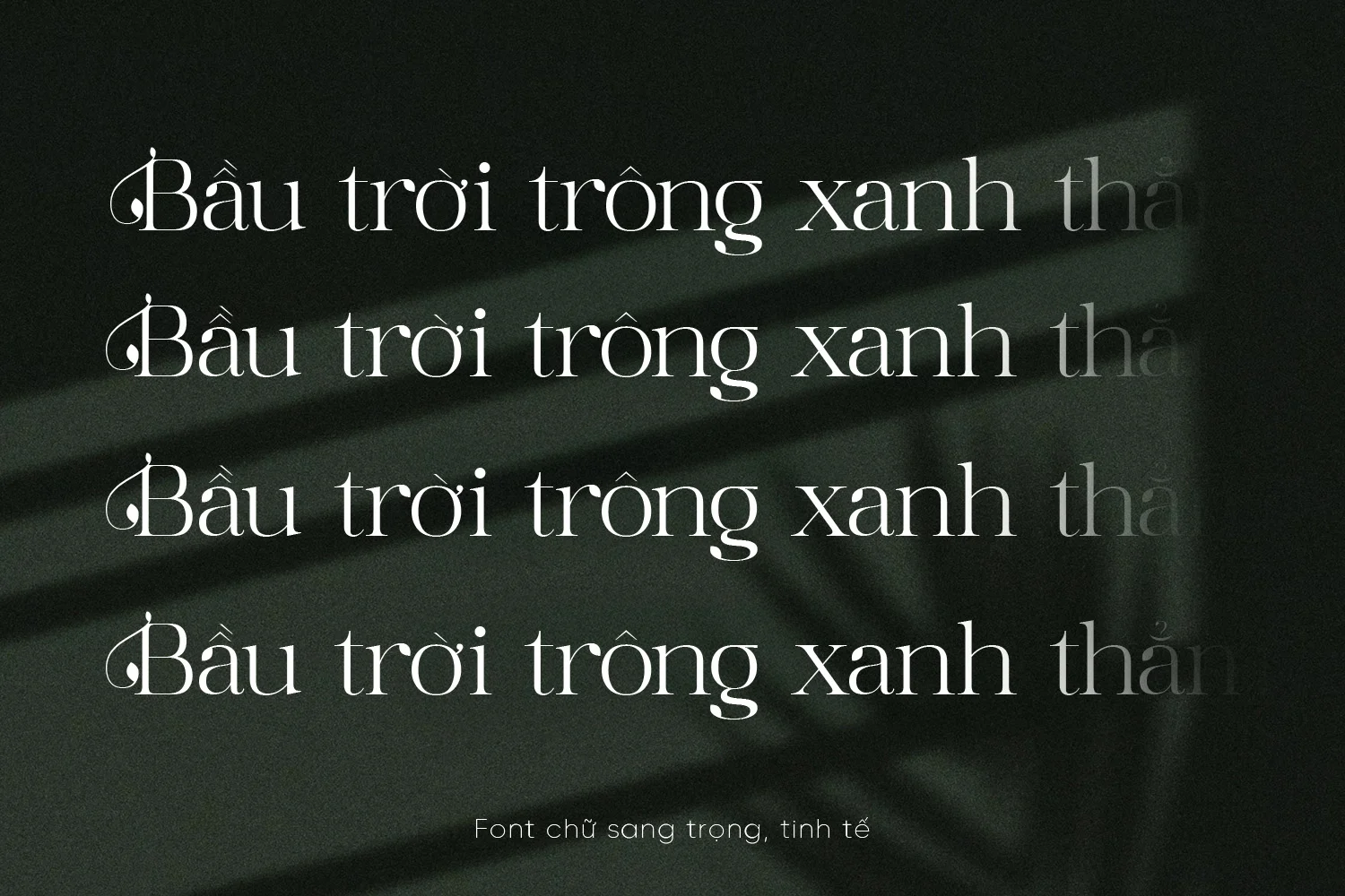 kytu.webp kytu.webp