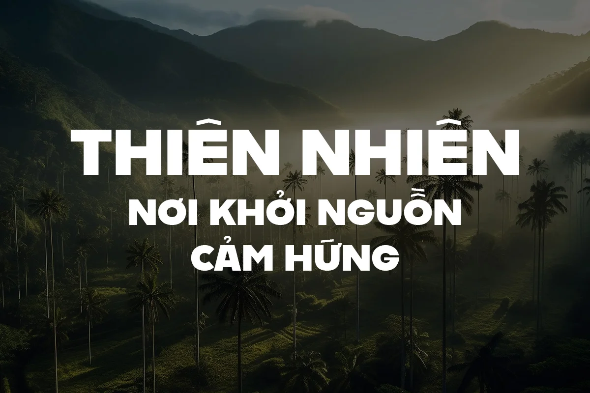 thiennhein.webp thiennhein.webp