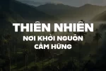 thiennhein.webp