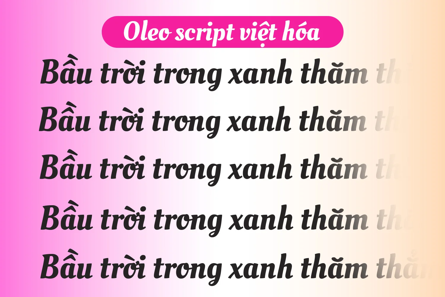oleo-text.webp oleo-text.webp