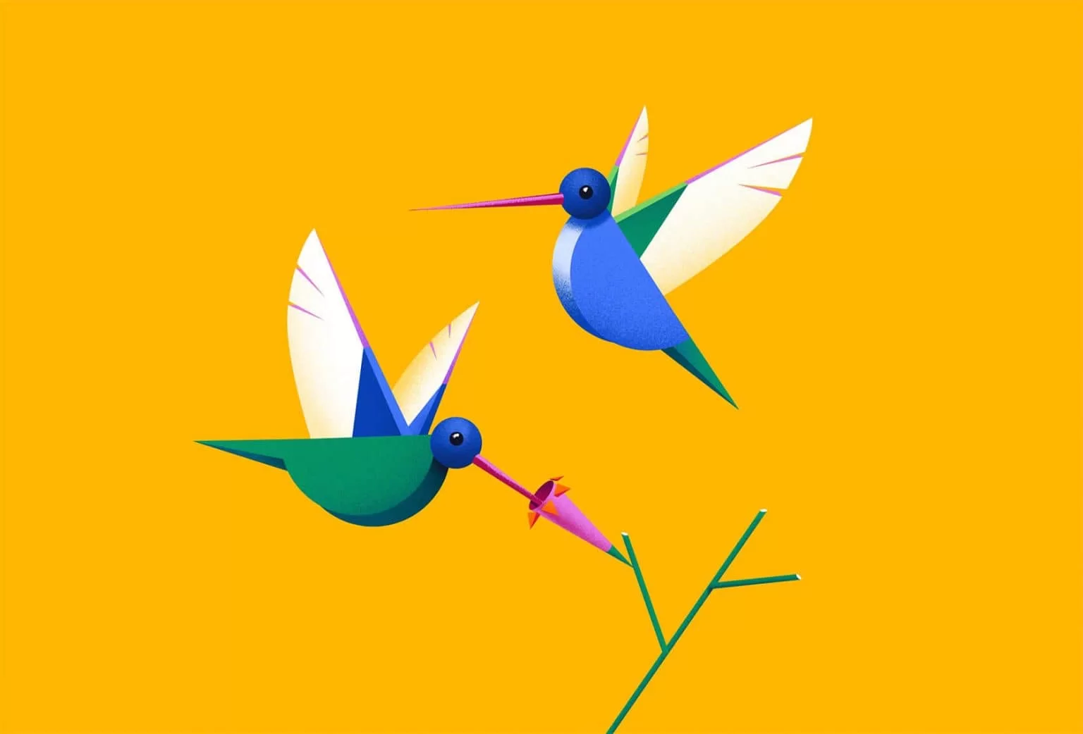 illustration-bright-funk-08-1536x1042-min.webp