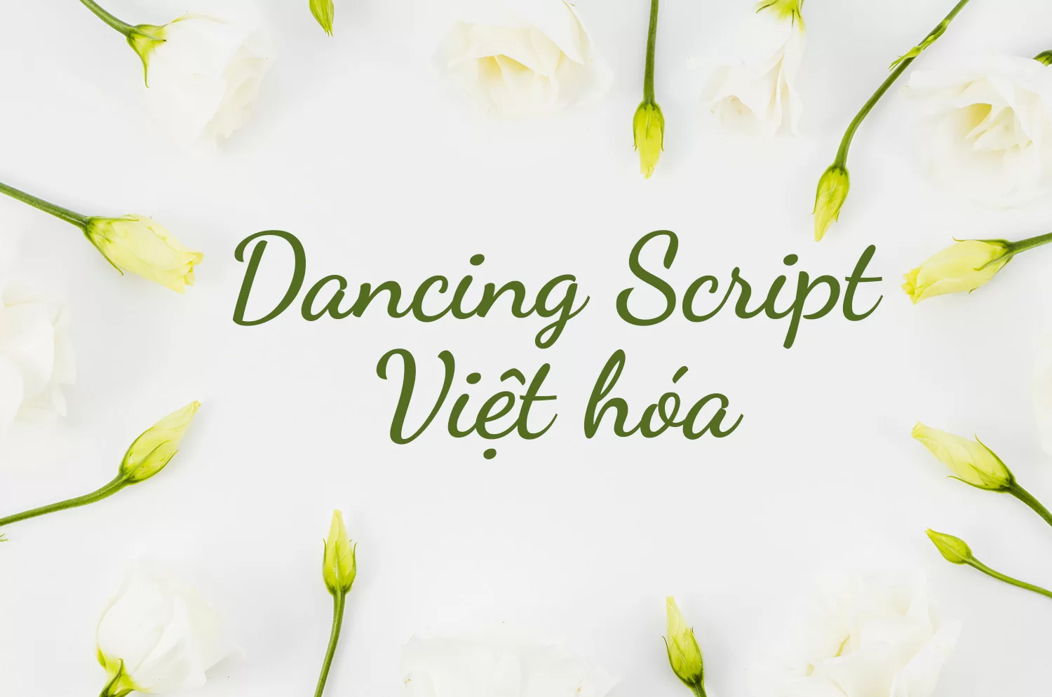 dcing-vh.webp dcing-vh.webp