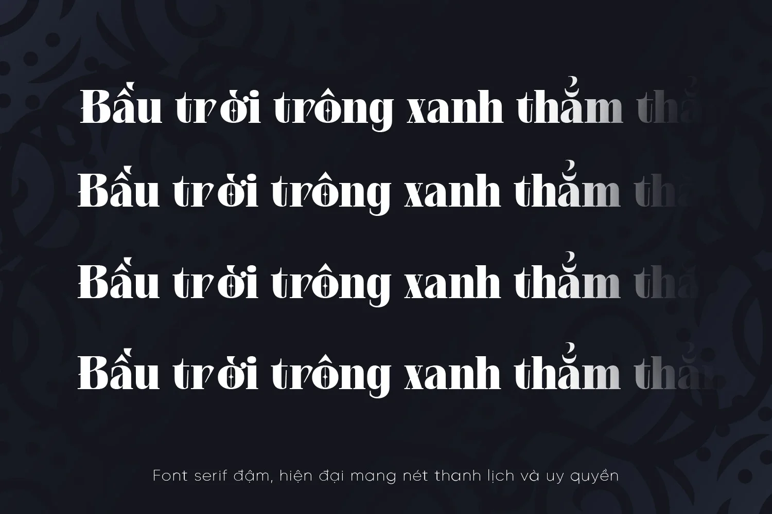 mose-tv.webp mose-tv.webp