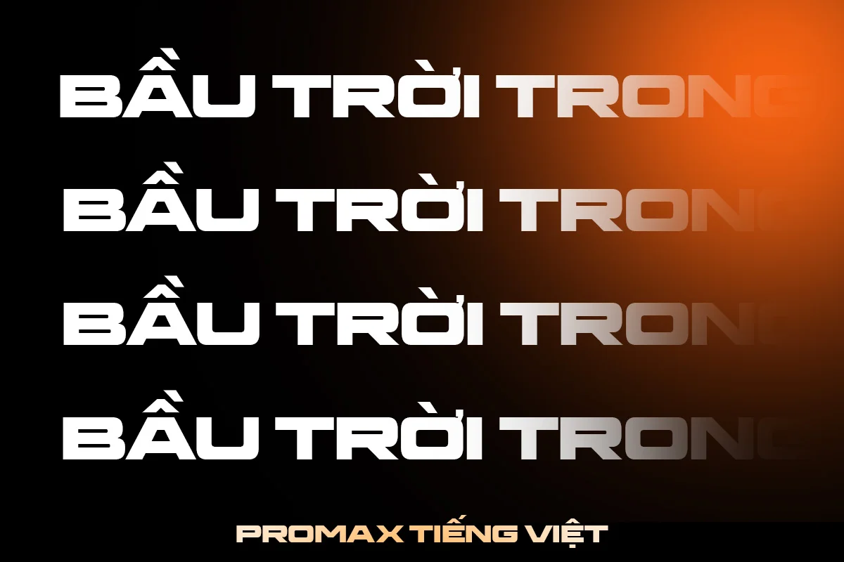 promax-tiengviet-1.webp